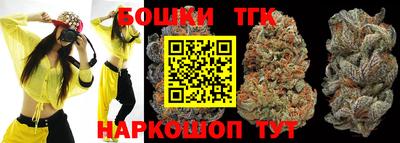 крисы Славгород