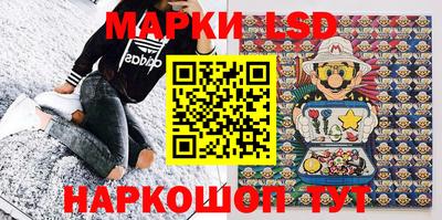крисы Славгород
