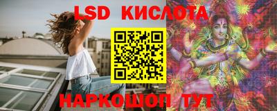 крисы Славгород