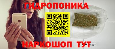 крисы Славгород