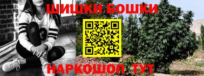 a pvp Сланцы