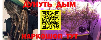 крисы Славгород