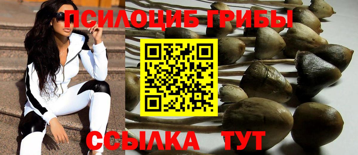 Отрадное  Псилоцибиновые грибы Magic Shrooms  Вход с VPN  Псилоцибиновые грибы Psilocybe 