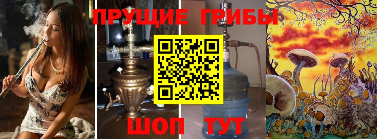 Галлюциногенные грибы прущие грибы Отрадное